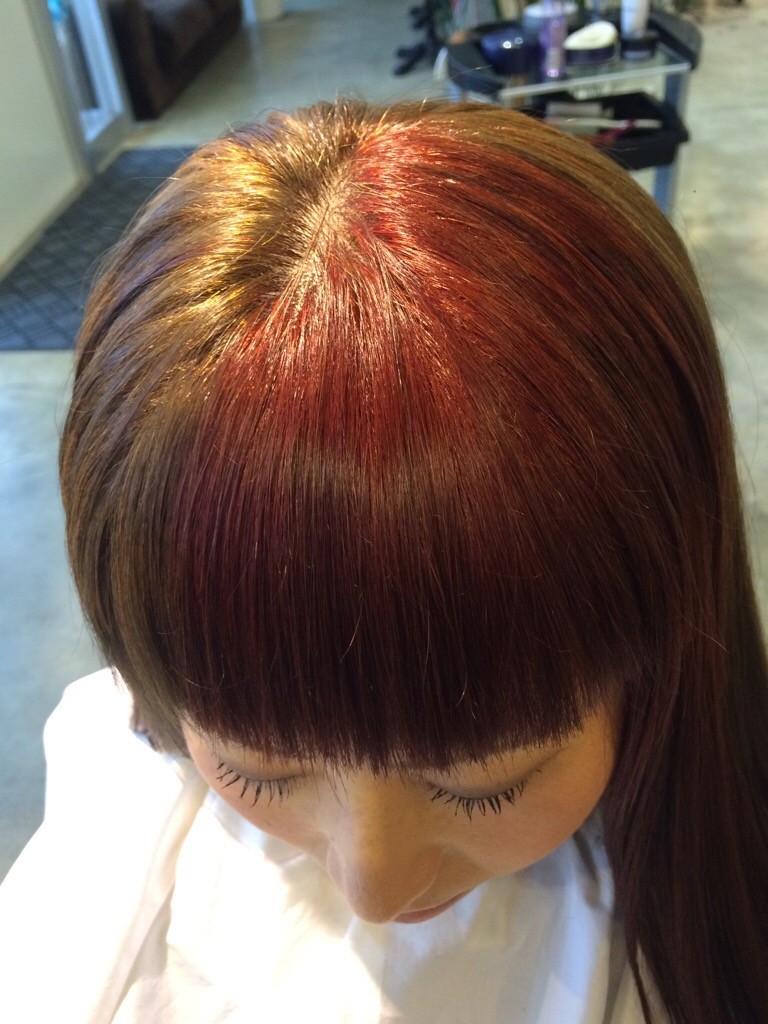 2月20日記事「イメチェンヘアカラー(*´˘`*)♡」ツートンのカラー