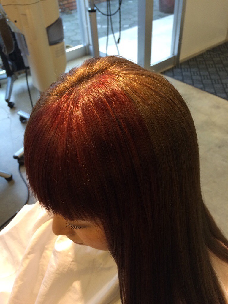 2月20日記事「イメチェンヘアカラー(*´˘`*)♡」ツートンのカラー上から見ると
